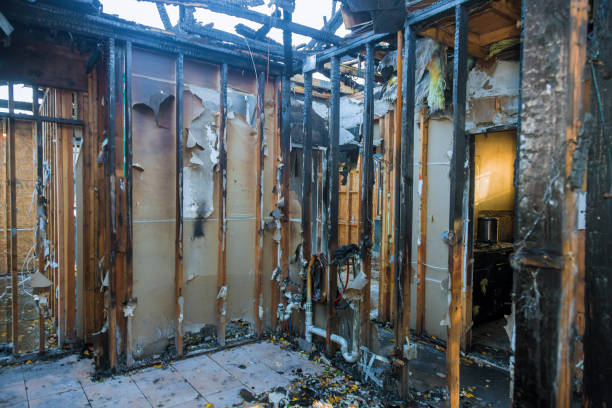 Professional Odor Removal technician working in Oak Park, MN