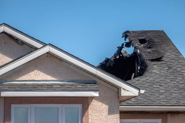 Top rated local Odor Removal specialists in Oak Park, MN